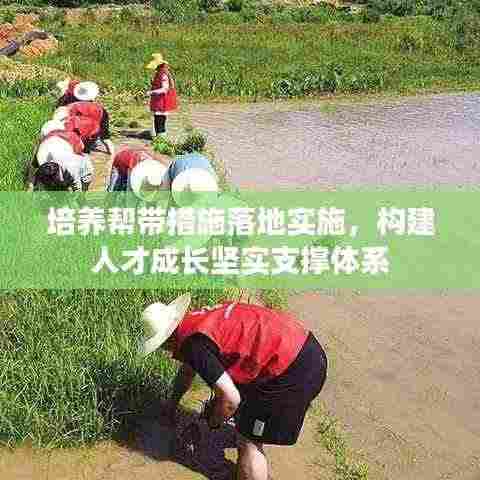 培养帮带措施落地实施，构建人才成长坚实支撑体系