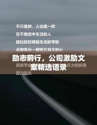 励志前行，公司激励文案精选语录