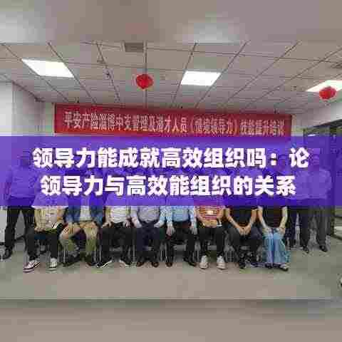 领导力能成就高效组织吗：论领导力与高效能组织的关系 