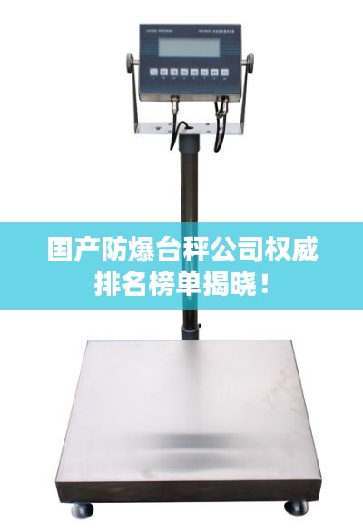 国产防爆台秤公司权威排名榜单揭晓！