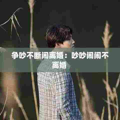 争吵不断闹离婚：吵吵闹闹不离婚 