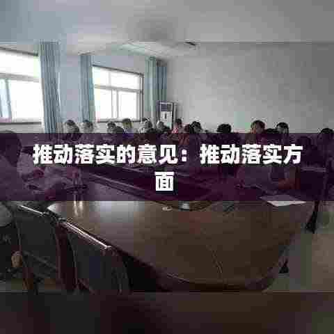 推动落实的意见：推动落实方面 