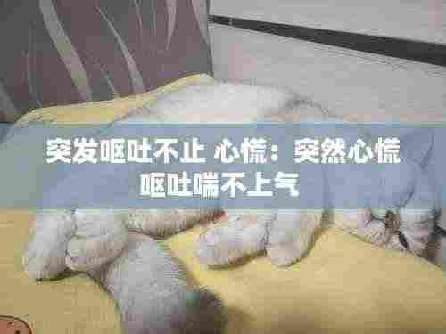 突发呕吐不止 心慌：突然心慌呕吐喘不上气 