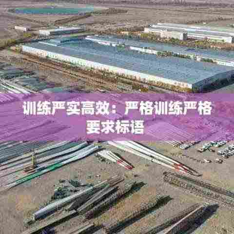 训练严实高效：严格训练严格要求标语 