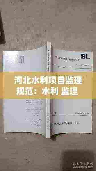 河北水利项目监理规范：水利 监理 规范 