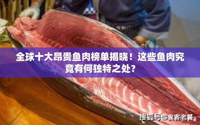 全球十大昂贵鱼肉榜单揭晓！这些鱼肉究竟有何独特之处？
