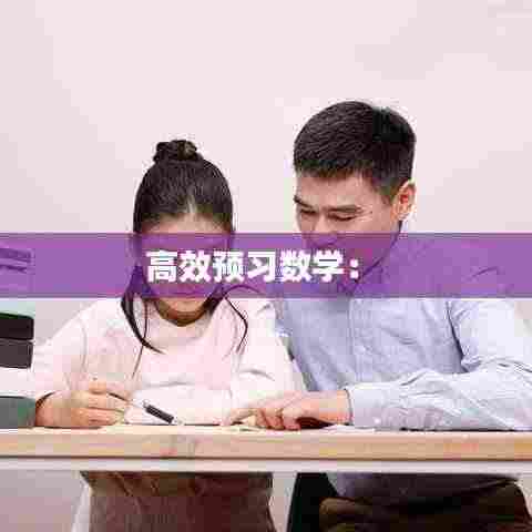 高效预习数学： 