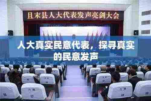 人大真实民意代表，探寻真实的民意发声