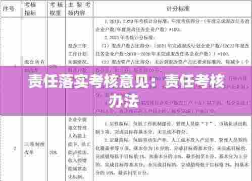 责任落实考核意见：责任考核办法 