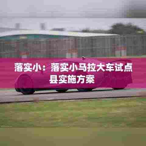 落实小：落实小马拉大车试点县实施方案 