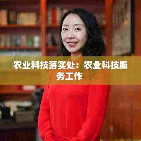 农业科技落实处：农业科技服务工作 