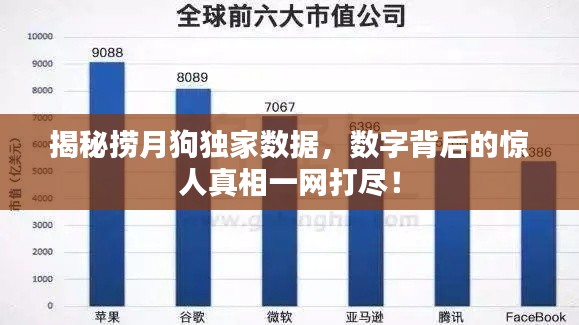 揭秘捞月狗独家数据，数字背后的惊人真相一网打尽！