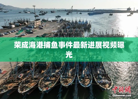 荣成海港捕鱼事件最新进展视频曝光