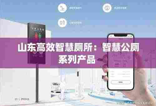 山东高效智慧厕所：智慧公厕系列产品 