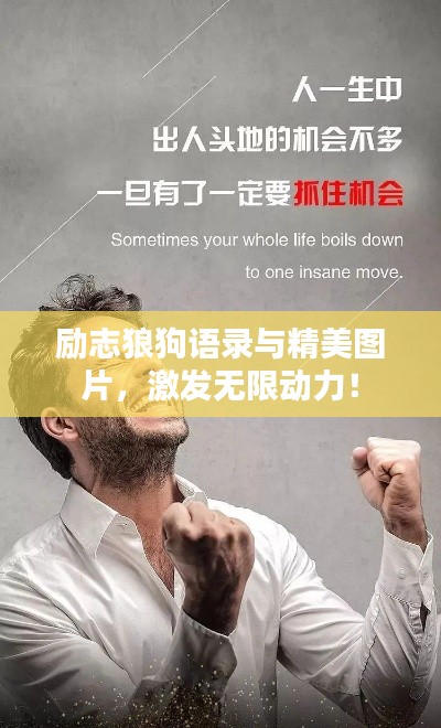 励志狼狗语录与精美图片，激发无限动力！