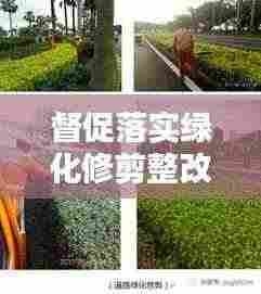 督促落实绿化修剪整改：关于绿化修剪的通知 