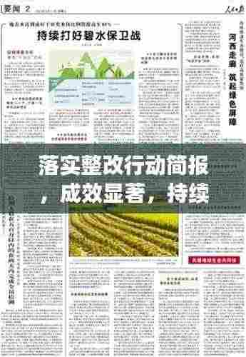 落实整改行动简报，成效显著，持续推进
