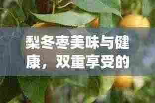 观往知来 第3页