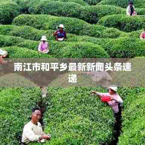 南江市和平乡最新新闻头条速递