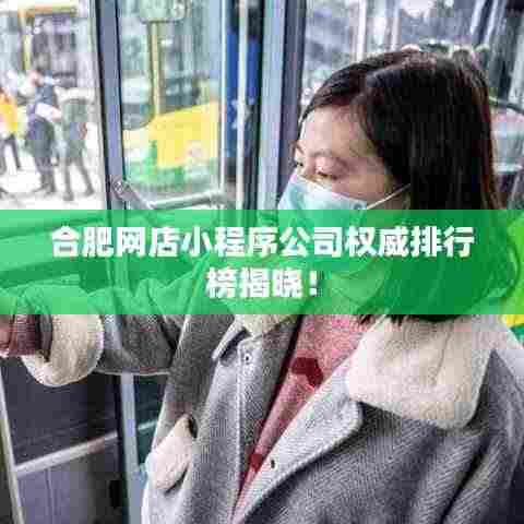 合肥网店小程序公司权威排行榜揭晓！
