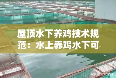 屋顶水下养鸡技术规范：水上养鸡水下可以养什么鱼 