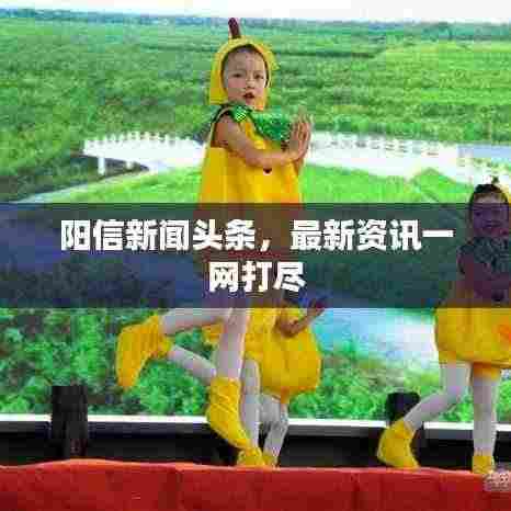 阳信新闻头条，最新资讯一网打尽