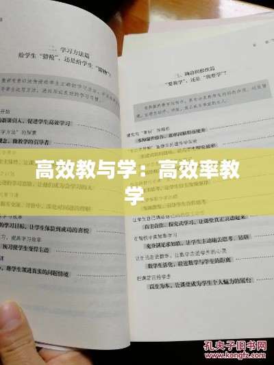 高效教与学：高效率教学 