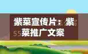 紫菜宣传片：紫菜推广文案 