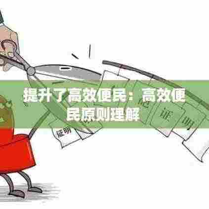 提升了高效便民：高效便民原则理解 