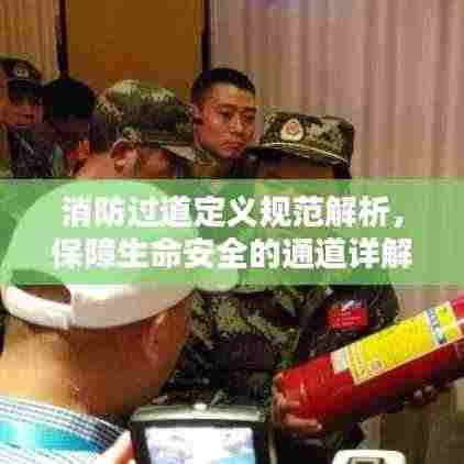 不飞则已 第3页