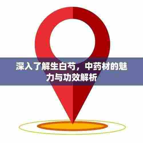 深入了解生白芍，中药材的魅力与功效解析