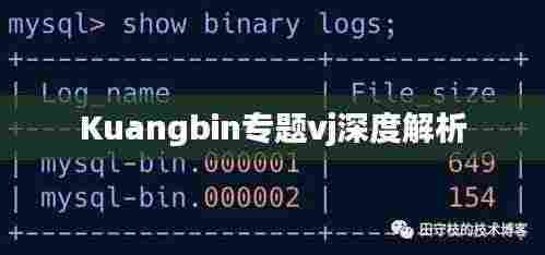 Kuangbin专题vj深度解析