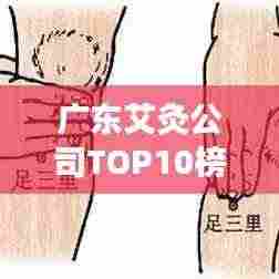 广东艾灸公司TOP10榜单揭晓，权威排名，不容错过！