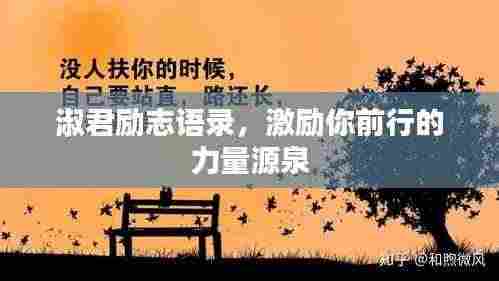 淑君励志语录，激励你前行的力量源泉