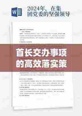 首长交办事项的高效落实策略，提升执行力与达成目标的实践方法