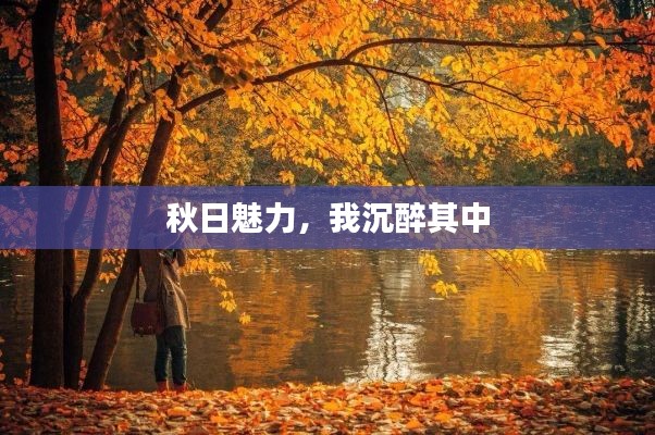 秋日魅力，我沉醉其中