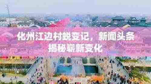 化州江边村蜕变记，新闻头条揭秘崭新变化