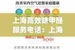 上海高效除甲醛服务电话:上海高端除甲醛地址