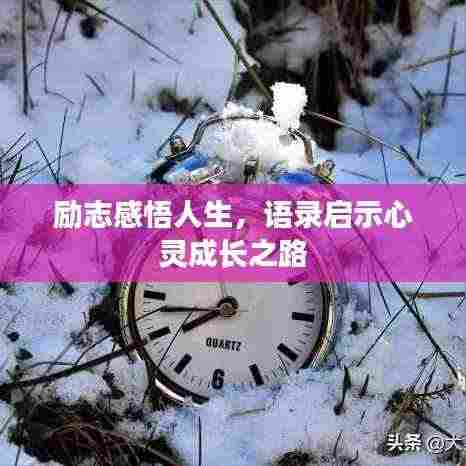 励志感悟人生，语录启示心灵成长之路