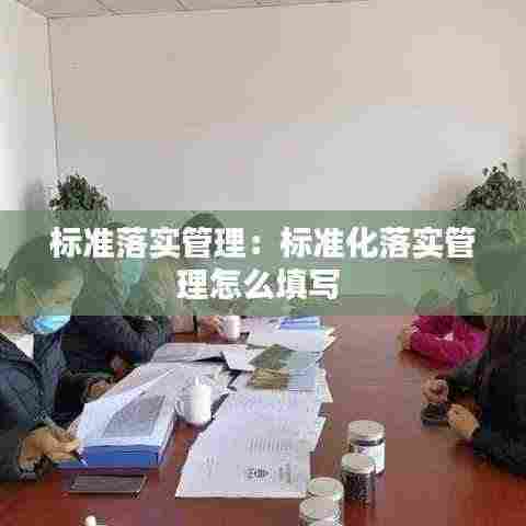 标准落实管理：标准化落实管理怎么填写 