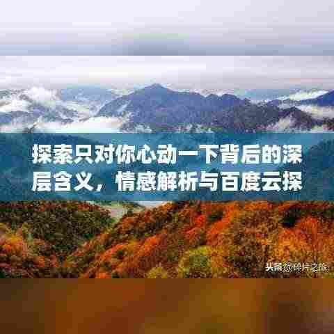 探索只对你心动一下背后的深层含义,情感解析与百度云探索之旅