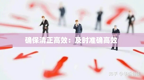 确保清正高效：及时准确高效 