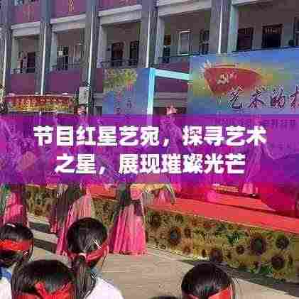 节目红星艺宛，探寻艺术之星，展现璀璨光芒