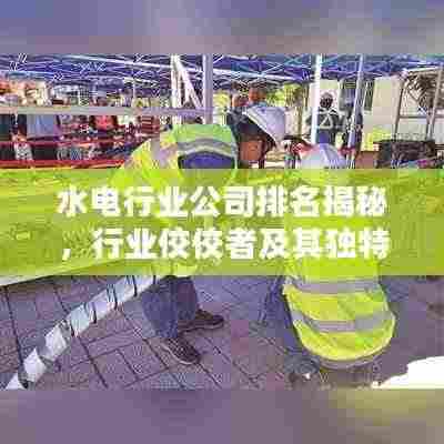水电行业公司排名揭秘，行业佼佼者及其独特风格盘点