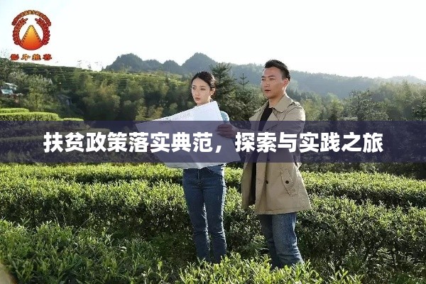 扶贫政策落实典范，探索与实践之旅