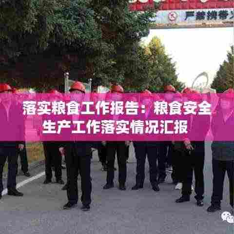 落实粮食工作报告：粮食安全生产工作落实情况汇报 