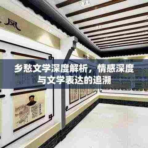 乡愁文学深度解析，情感深度与文学表达的追溯