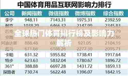 全球热门体育排行榜及影响力解析