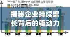 揭秘企业持续增长背后的驱动力，大业务持续拓展之路
