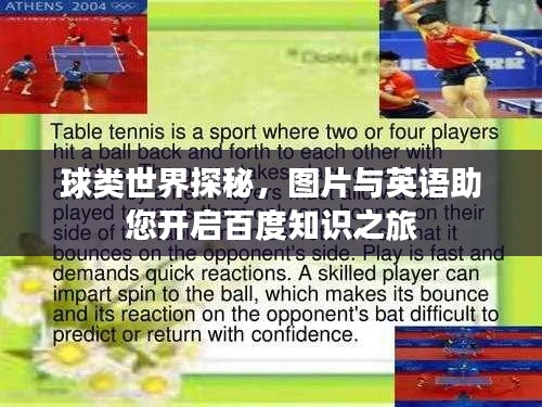 球类世界探秘，图片与英语助您开启百度知识之旅